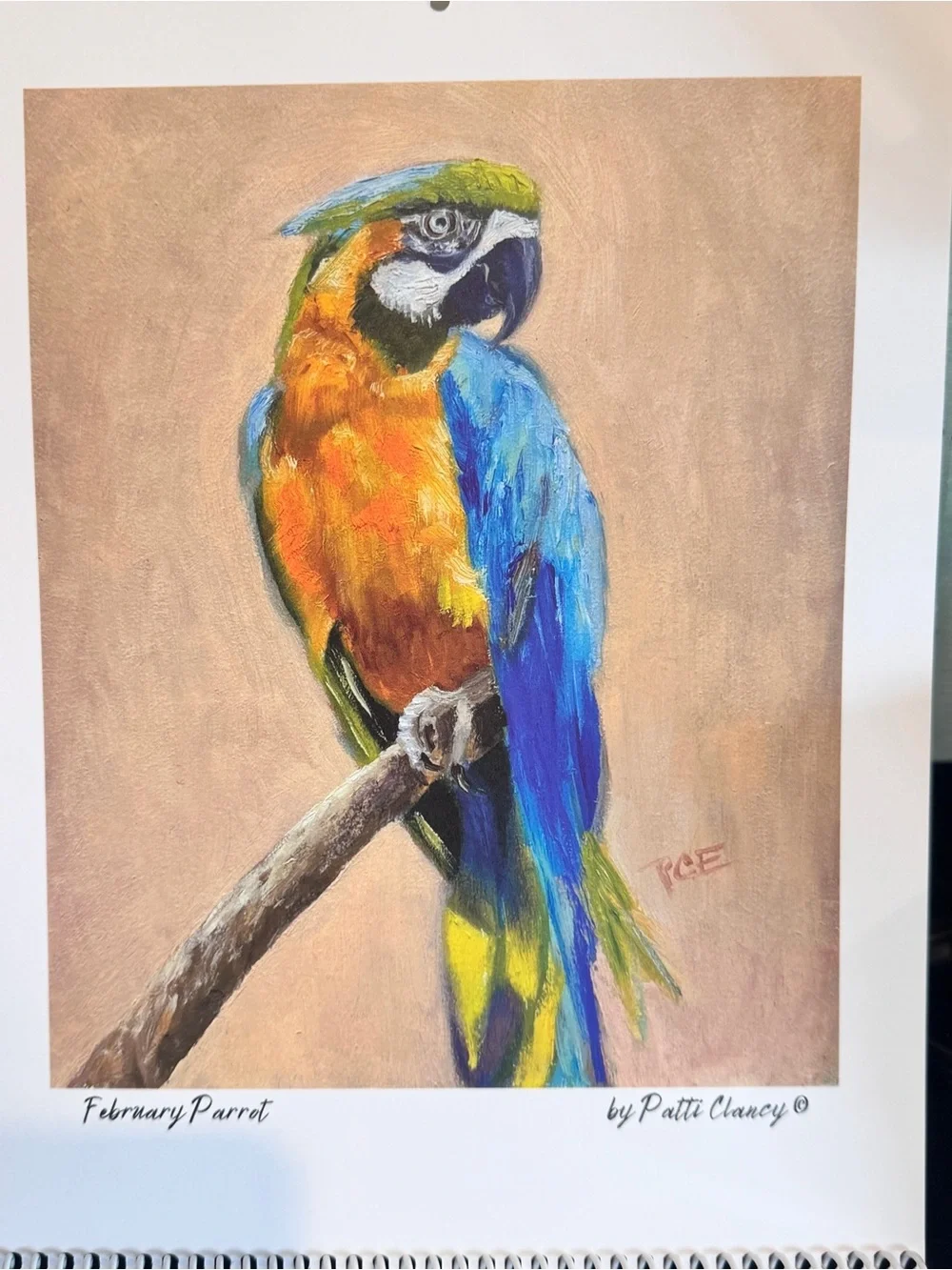 12 Birds of the Month for Framing or Crafting original oil paintings P. Clancy